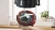 Блендер Bosch BOSCH MMB6382M
