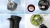 Блендер Bosch BOSCH MSM4B621