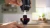 Блендер Bosch BOSCH MSM4B623