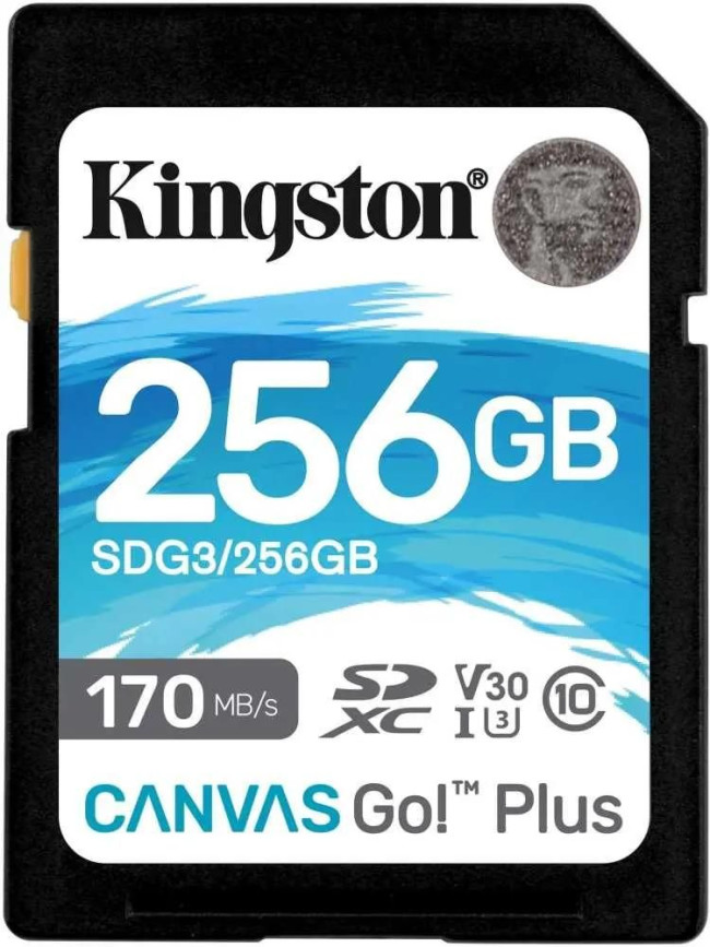 Карта памяти Kingston 256GB SDXC Canvas Go Plus 170R C10 UHS-I U3 V30 Kingston SDG3/256GB